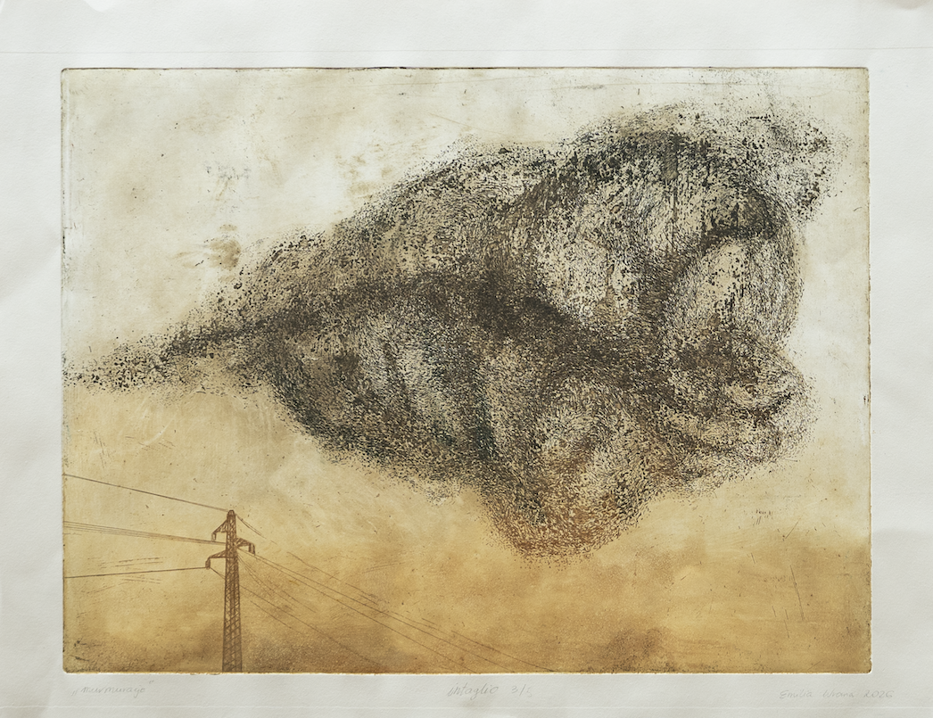 Murmuracje