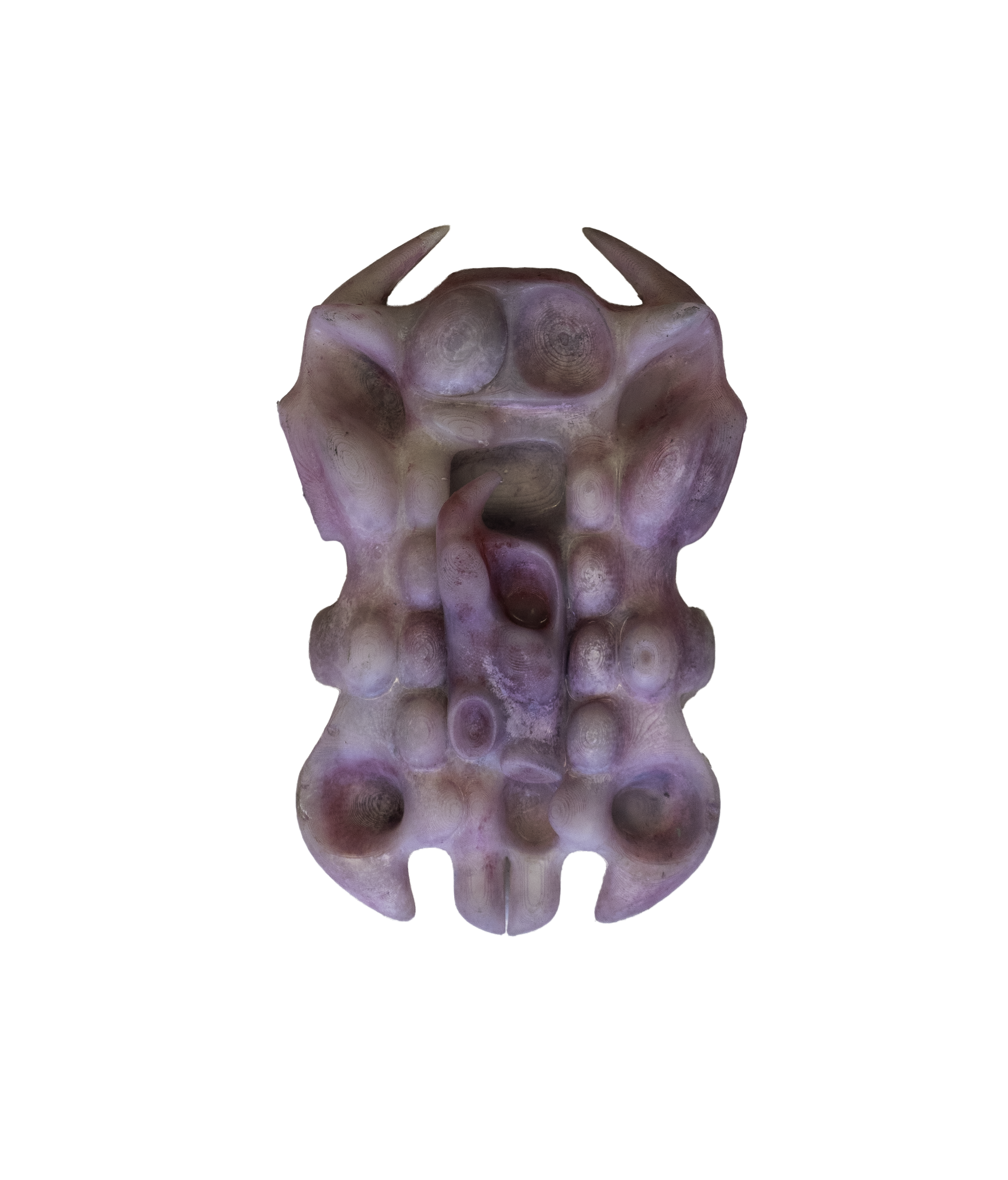Todi`s portion